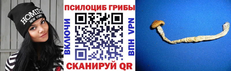 магазин продажи   дарк нет Telegram  Галлюциногенные грибы GOLDEN TEACHER  Артёмовск  blacksprut сайт 